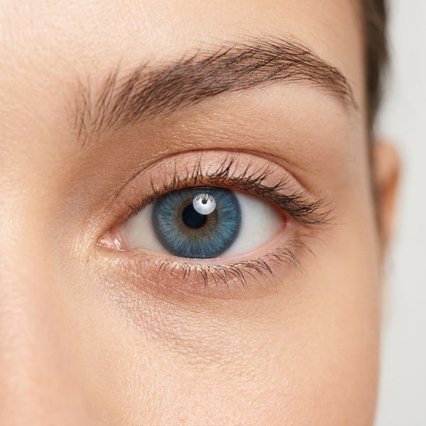 Aqua Babe (Myopia)