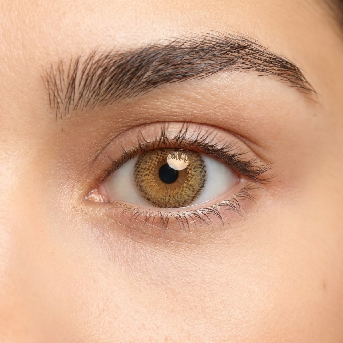 Honey Drizzle (Myopia)