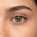 Olive Fantasy (Myopia)