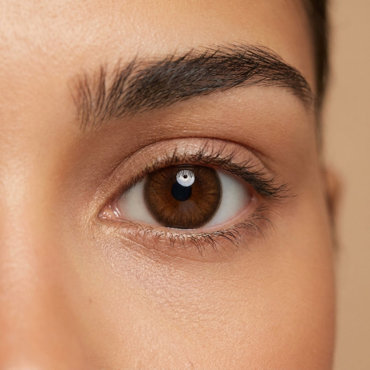 Chocoa Charm (Myopia)