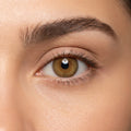 Coffe Luxe (Myopia)