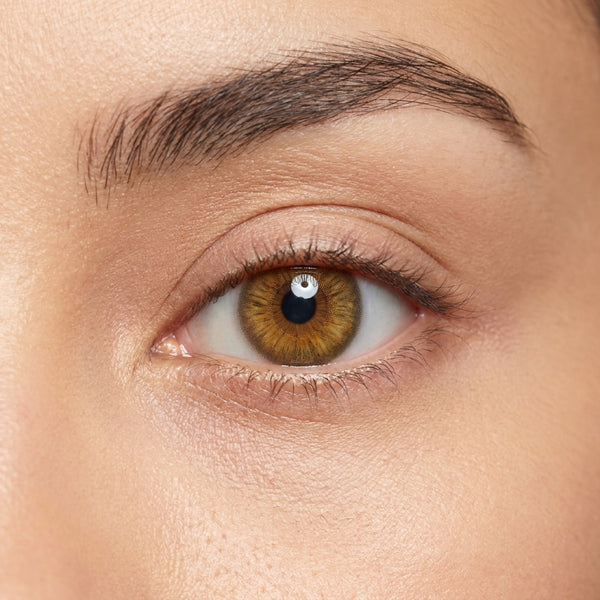 Honey Wood (Myopia)