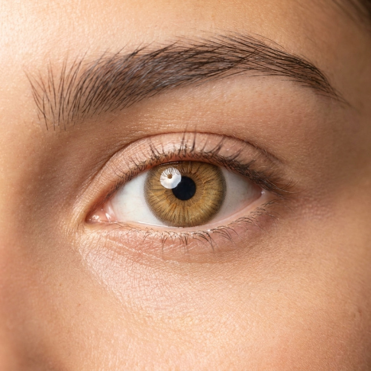 Lioness Gaze (Myopia)
