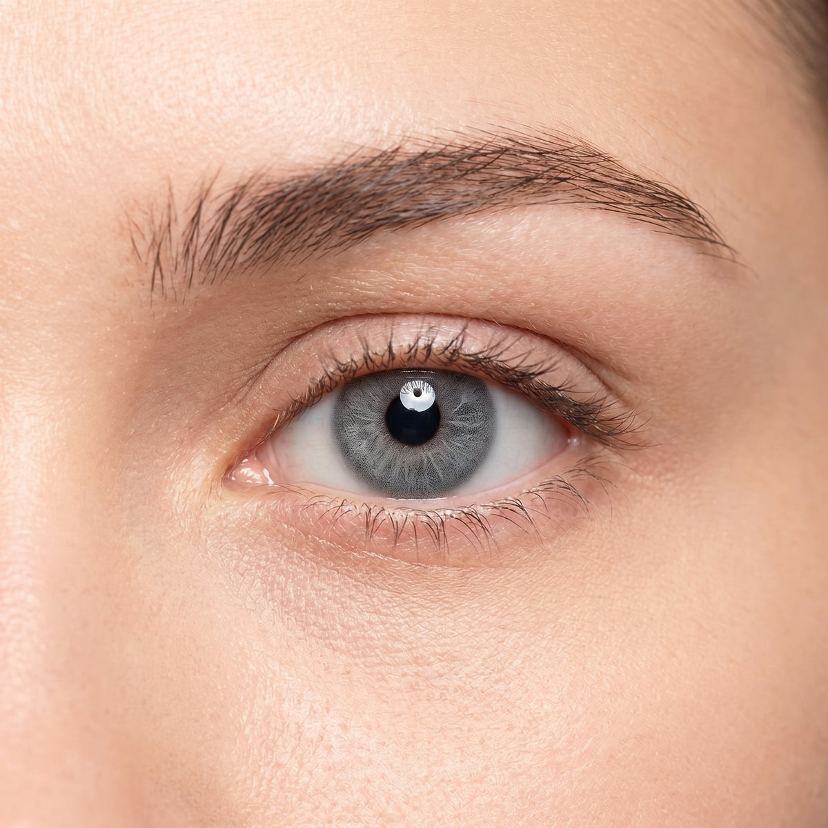 Silver Doll Gray Contact Lenses — Lebanon | Orama