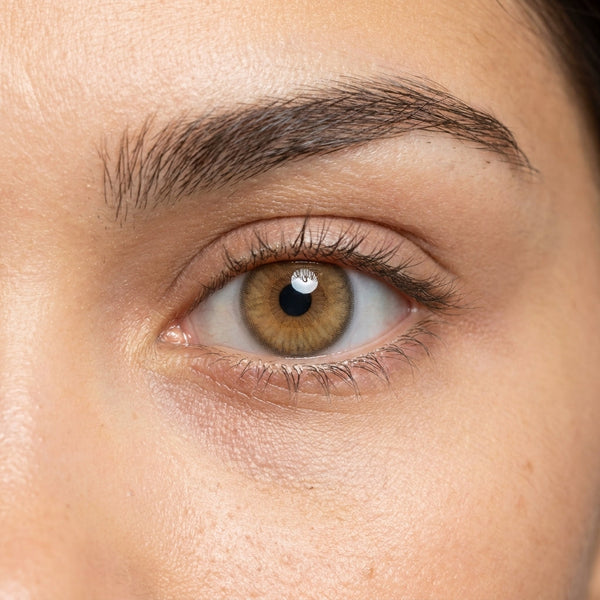 Orama Honey Drizzle colored contact lens shown on a single eye