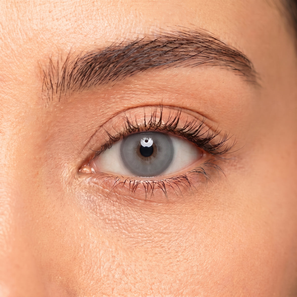 Platinum Gray Contact Lenses — Lebanon | Orama
