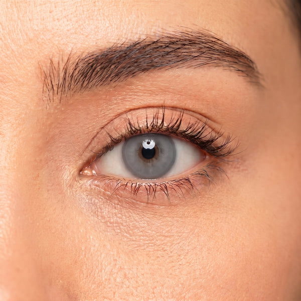 Platinum Gray Myopia Contact Lenses — Lebanon | Orama