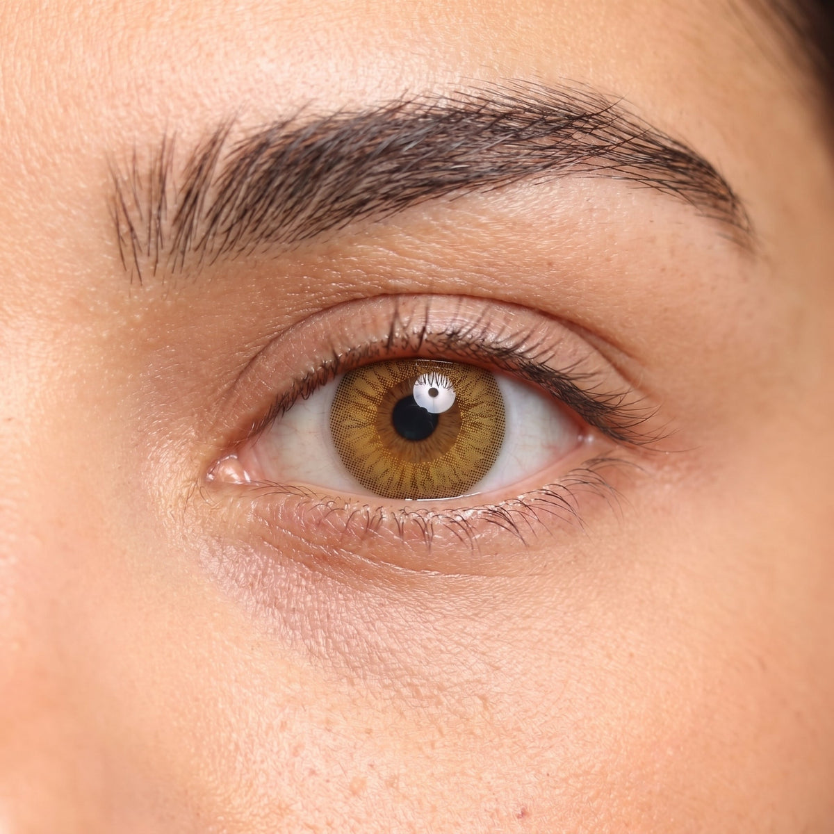 Salmon Sunset Light Brown Myopia Contact Lenses — Lebanon | Orama